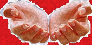 weekend compassie 2015